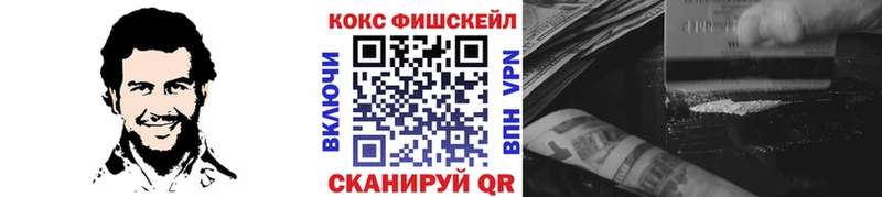 Cocaine Fish Scale  Купить закладки  Терек 
