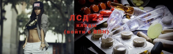 мяу мяу мука Алексеевка