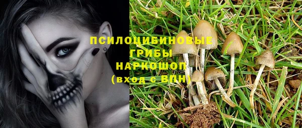 мяу мяу мука Алексеевка