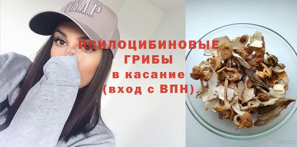 герыч Алексин