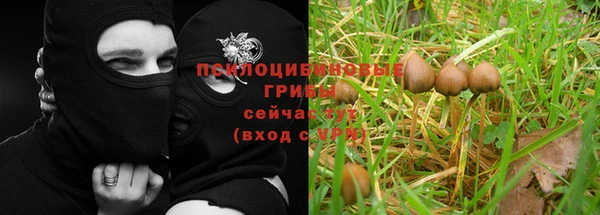 герыч Алексин